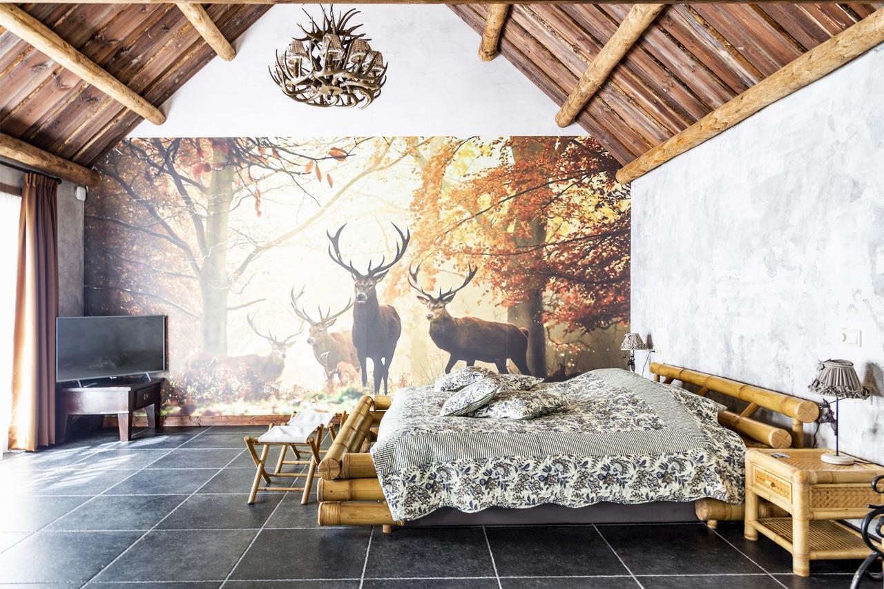 Bed and Breakfast De Vrolijcke Bosmuis Бергейк Экстерьер фото